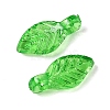 Transparent Acrylic Charms TACR-F009-11E-2