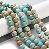 Dyed Natural Regalite/Imperial Jasper/Sea Sediment Jasper Beads Strands X-G-B124-C01-15-1