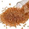 TOHO 11/0 Round Beads SEED-XTR11-0753-1