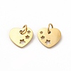 Ion Plating(IP) 304 Stainless Steel Pendants STAS-E185-12G-1