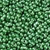 Glass Seed Beads SEED-L011-04A-01-3