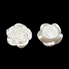 ABS Imitation Pearl Beads OACR-K001-20-3