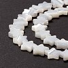 Natural Trochid Shell/Trochus Shell Beads SSHEL-O001-25B-02-4