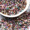 Glass Bugle Beads SEED-B001-03A-06-1