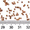 FGB 11/0 Grade A Baking Paint Glass Seed Beads X-SEED-S030-1146-4
