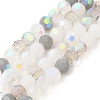 Electroplate Glass Beads Strands X1-EGLA-P048-A03-1