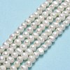 Natural Cultured Freshwater Pearl Beads Strands PEAR-F018-14-01-2