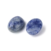 Natural Blue Spot Jasper Cabochons G-A094-01B-49-2