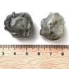 Natural Labradorite Carved Figurines DJEW-L023-C12-3