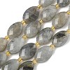 Natural Labradorite Beads Strands G-A295-A01-01-2