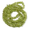 Natural Peridot Beads Strands G-P332-48-01-4