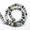 Natural Tree Agate Beads Strands G-I199-03-4mm-2