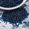 MIYUKI Delica Beads SEED-X0054-DB1763-1