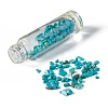 Synthetic Turquoise Chip Bead Roller Ball Bottles AJEW-H101-01J-3