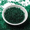 MIYUKI Round Rocailles Beads SEED-X0055-RR0147-2