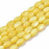 Natural Freshwater Shell Beads Strands X-SHEL-N003-25-B05-1