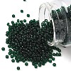 MIYUKI Round Rocailles Beads X-SEED-G008-RR0156-1