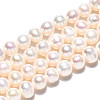 Natural Cultured Freshwater Pearl Beads Strands PEAR-N013-05E-3