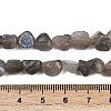 Natural Labradorite Beads Strands G-Q060-E20-01-5