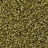 MIYUKI Delica Beads SEED-X0054-DB2164-3