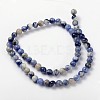 Natural Sodalite Beads Strand GSR6mmC013-3