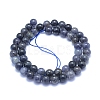 Natural Iolite/Cordierite/Dichroite Beads Strands G-L552H-11B-3