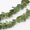 Chips Natural Green Apatite Beads Strands G-N0164-26-2