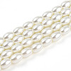 Baking Paint Pearlized Glass Pearl Bead Strands HY-T002-01A-02-3