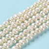 Natural Cultured Freshwater Pearl Beads Strands PEAR-E018-51-2