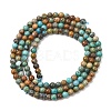 Natural HuBei Turquoise Beads Strands G-H358-A09-3mm-01-5