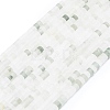 Natural Tianshan Cui Quartzite Beads Strands G-P575-B15-4x2mm-2