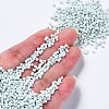 12/0 Glass Seed Beads SEED-S060-A-F408-4
