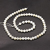Natural White Moonstone Beads Strands G-E569-D06-2
