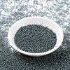 MIYUKI Round Rocailles Beads SEED-X0054-RR0178-2