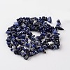 Chip Natural Blue Spot Stone Bead Strands X-G-M344-18-2