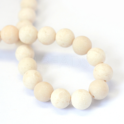 Frosted Natural Fossil Round Bead Strands X-G-E334-6mm-22-1