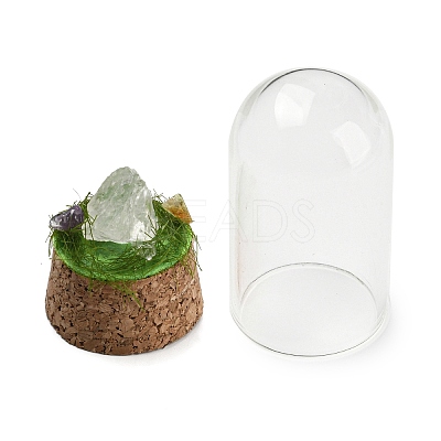Natural Quartz Crystal Nuggets Display Decoration with Glass Dome Cloche Cover DJEW-B009-03B-1