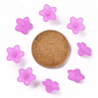 Transparent Acrylic Beads PL554-17-1