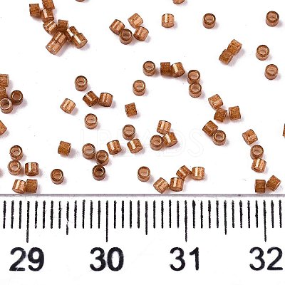 FGB 11/0 Grade A Baking Paint Glass Seed Beads X-SEED-S030-1146-1