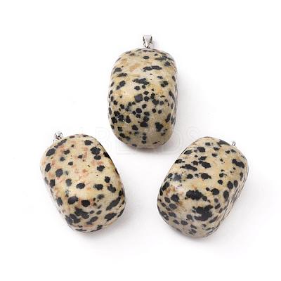 Natural Dalmatian Jasper Pendants G-k302-B21-1