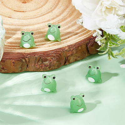 12Pcs Handmade Lampwork Beads LAMP-DR0001-03-1