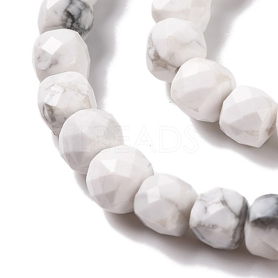Natural Howlite Beads Strands G-G001-B02-06-1