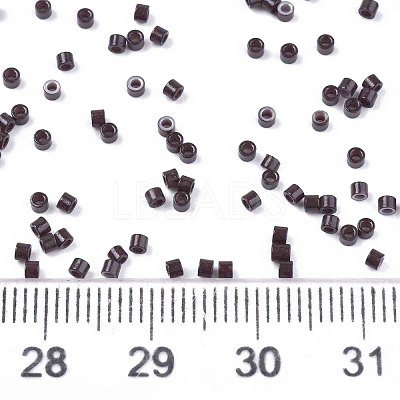 FGB 11/0 Grade A Glass Seed Beads X-SEED-S030-1014-1