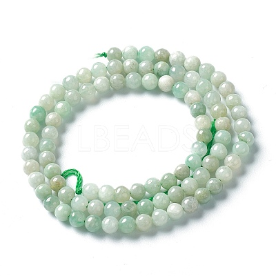 Natural Jadeite Beads Strands X-G-L568-001C-1