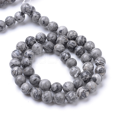 Natural Map Stone/Picasso Stone/Picasso Jasper Bead Strands X-G-R345-6mm-41-1