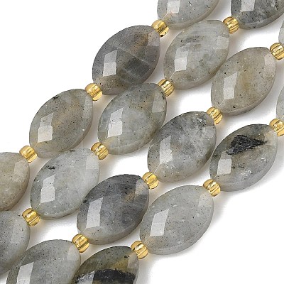Natural Labradorite Beads Strands G-A295-A01-01-1