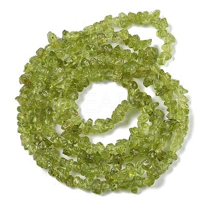 Natural Peridot Beads Strands G-P332-48-01-1