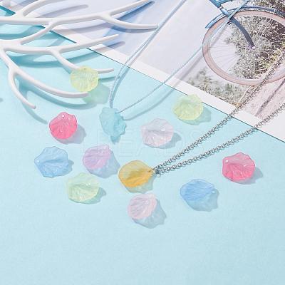 Transparent Frosted Acrylic Pendants X-MACR-S371-01A-1