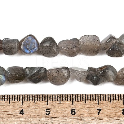 Natural Labradorite Beads Strands G-Q060-E20-01-1