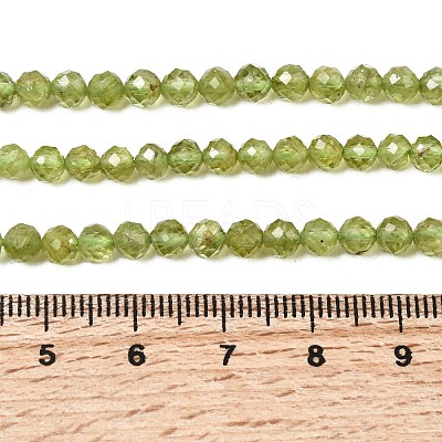 Natural Peridot Beads Strands G-P603-C-4mm-01-1